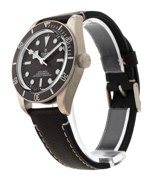 Tudor Black Bay 58 M79010SG-0001